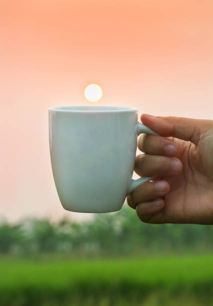 istock Hand holding coffee cup with a sunrise scene over a mug 1367157650
