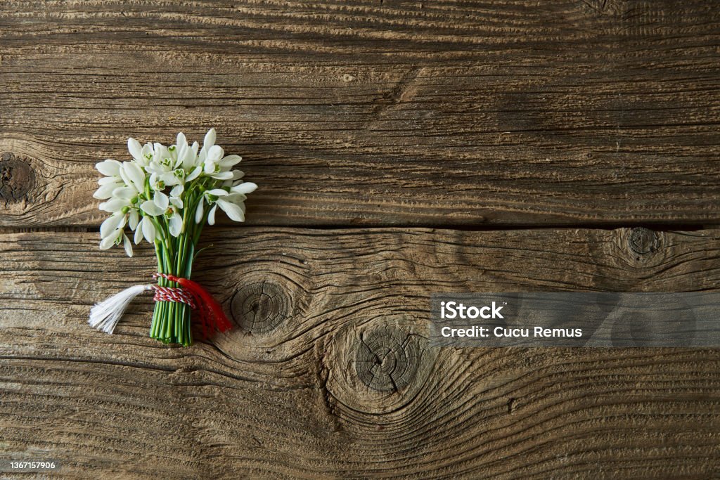 snowdrops, 1st of March tradition isolated on wooden background. Abstract Stock Photo