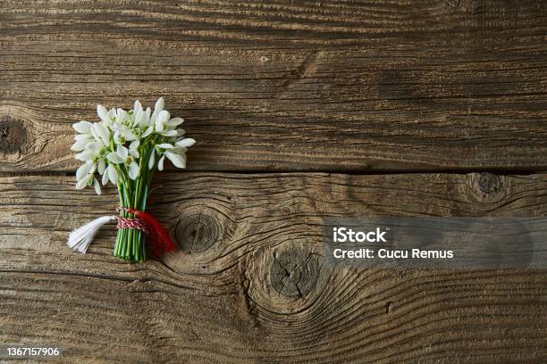 Snowdrops 1st Of March Tradition Isolated On Wooden Background Stock Photo - Download Image Now