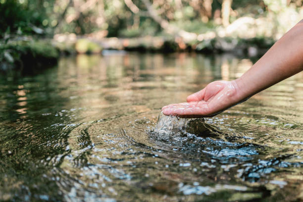 istock hand touches  water in the pond 1367158250
