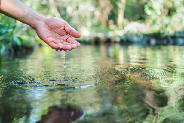 istock hand touches  water in the pond 1367158261