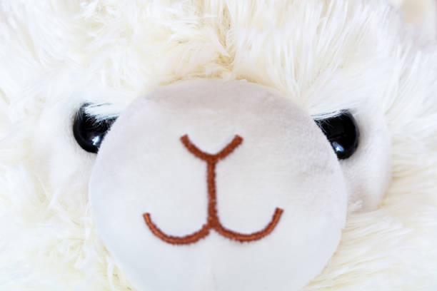 istock closeup of alpaca plush toy face 1367159313