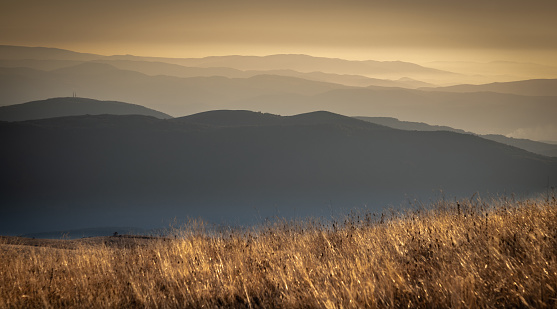 Overlooking mountain grasslands in Serbia in a majestic golden light