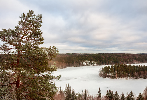 Winter in Aulanco Natural Park. Forest lake on a cloudy winter day. HÃ¤meenlinna, Finland