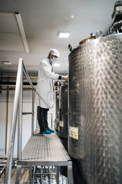istock Cheese and airy product factory 1367163050
