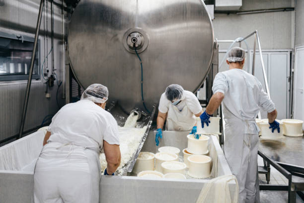 istock Cheese and dairy products factory 1367163057