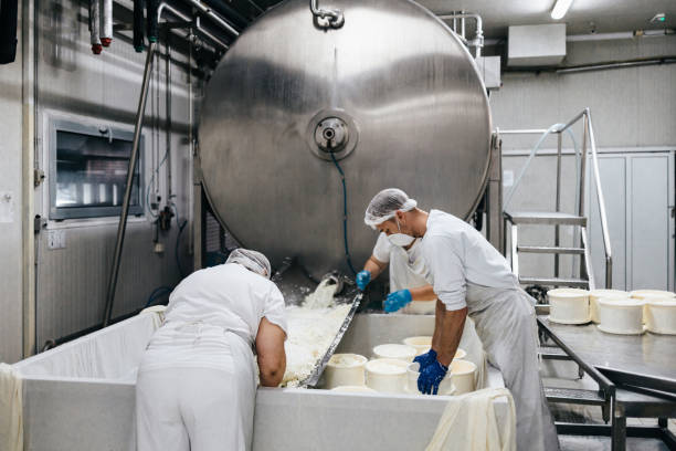 istock Cheese and dairy products factory 1367163060