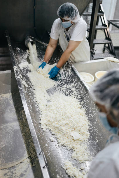 istock Cheese and dairy products factory 1367163070