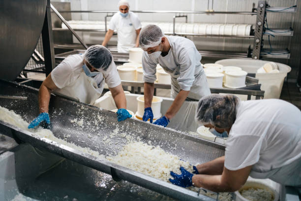 istock Cheese and dairy products factory 1367163073