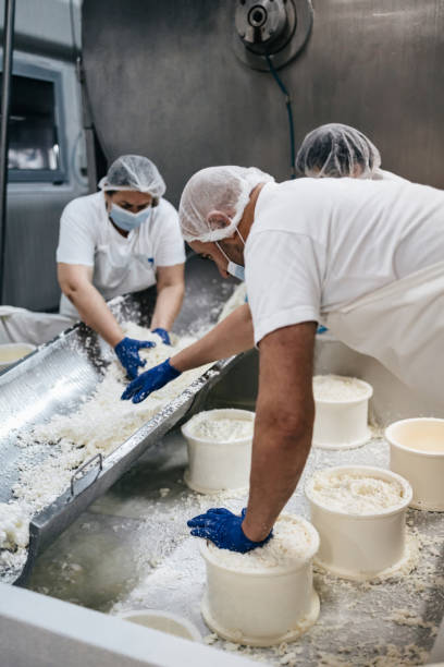 istock Cheese and dairy products factory 1367163076