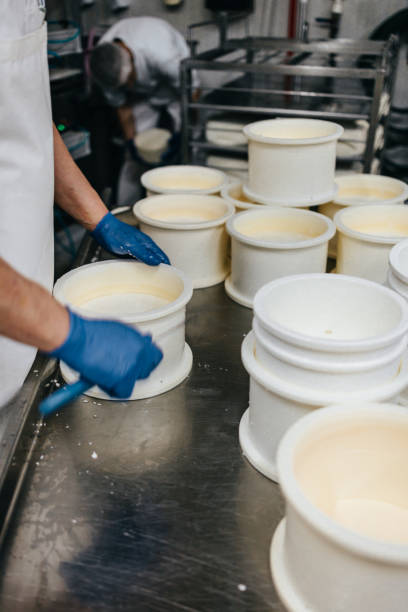 istock Cheese and dairy products factory 1367163090