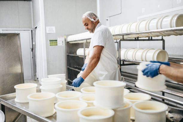 istock Cheese and airy product factory 1367163103