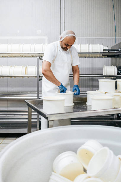 istock Cheese and airy product factory 1367163108