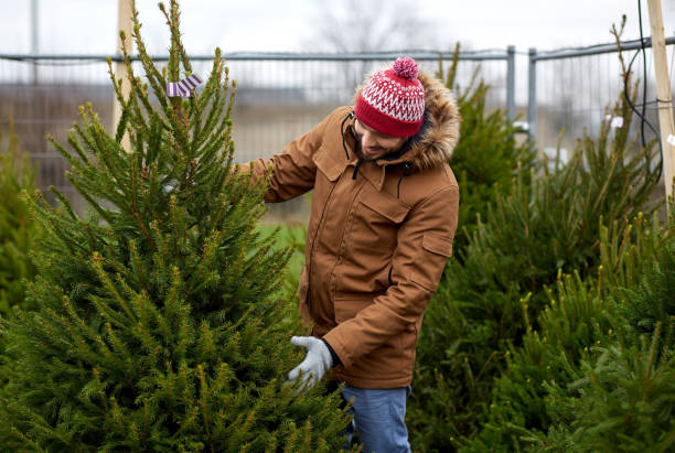 istock happy man choosing christmas tree at market 1367164299