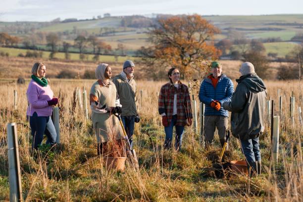 istock We are Going to be Planting Trees Today 1367166022