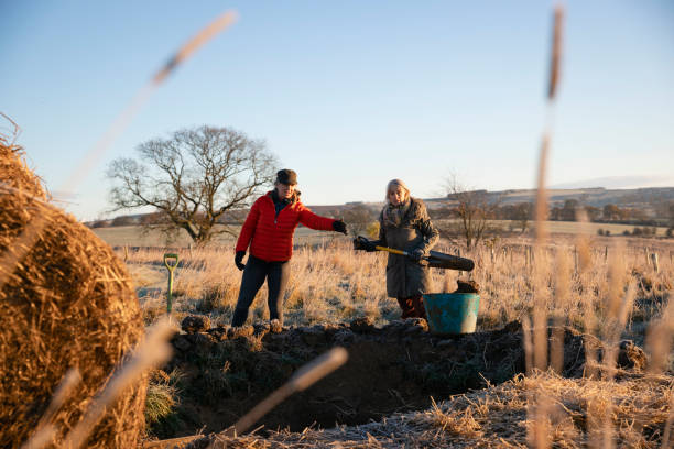 istock Planning Our Nature Pond 1367166299