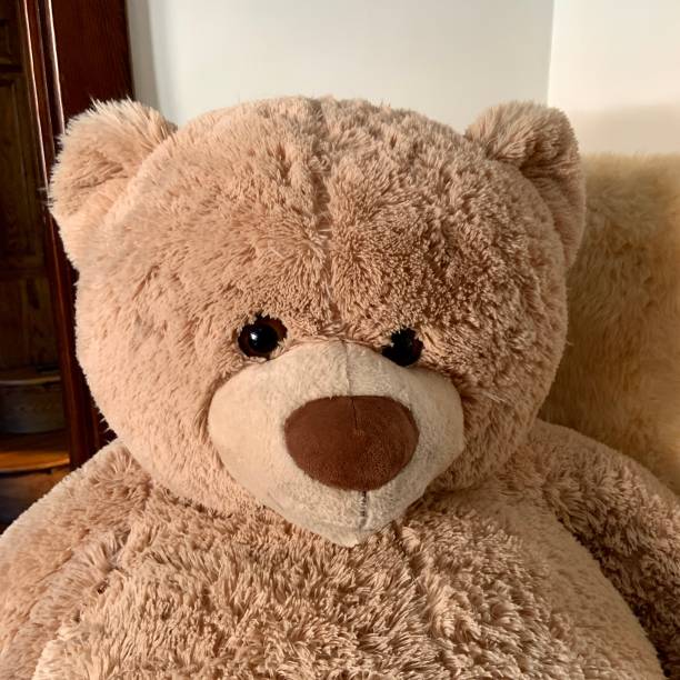 Teddy Bear portrait