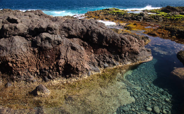 istock Gran Canaria, calm rock pools under steep cliffs of the north coast 1367169368