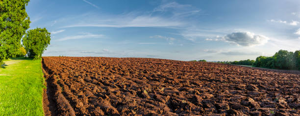 istock Farmland with a view to the horizon 1367171309