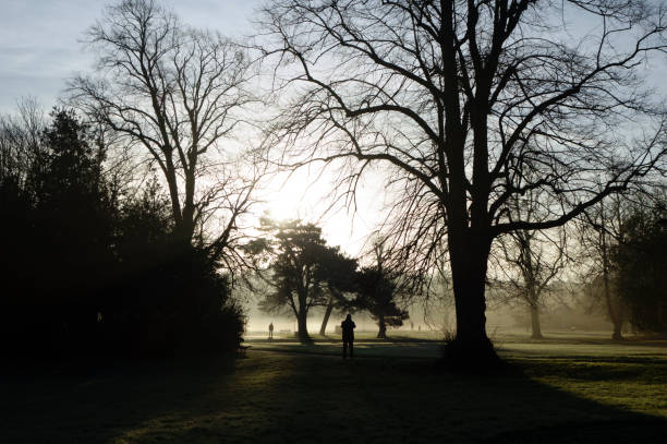 istock Early morning mystery 1367172142