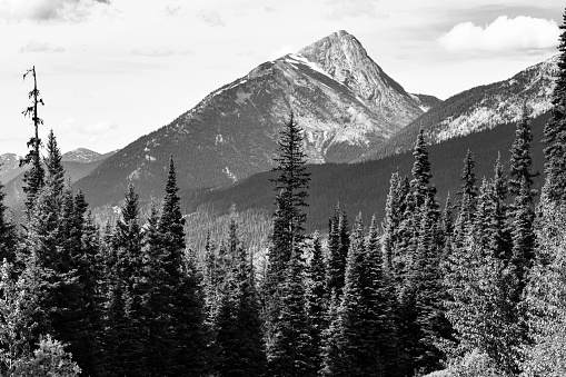 A black and white image, view of a mountain peak in the Rocky Mountain Range in British Columbia, Canada. Many Boreal Forest trees are in the foreground and foothills between.