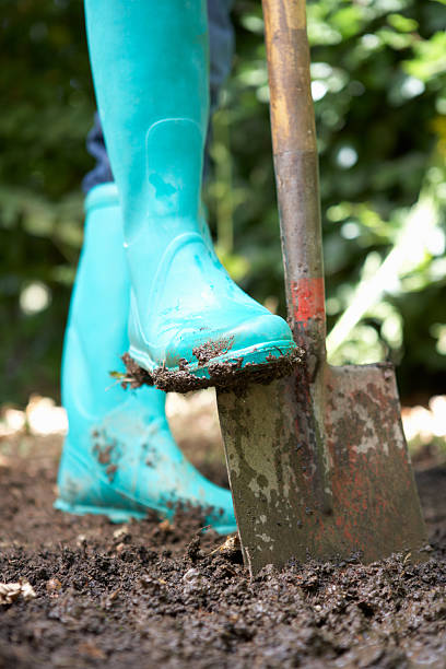 istock Person digging in garden 136717530