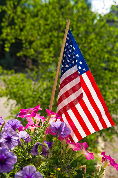 istock American Flag in Flower Box 136717557