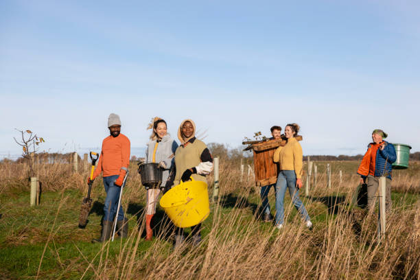 istock Changing The Face Of Their Landscape. 1367176114