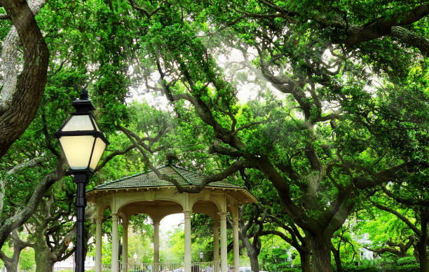 parque à beira-mar ao lado do porto em charleston carolina do sul - charleston harbor - fotografias e filmes do acervo