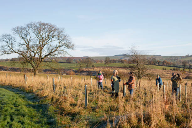 istock Planting Trees on a Winter's Morning 1367176344