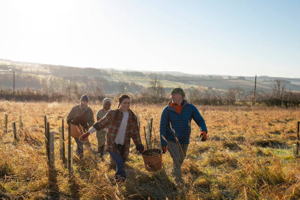 istock Tree Planting Team on a Sunny Morning 1367176382