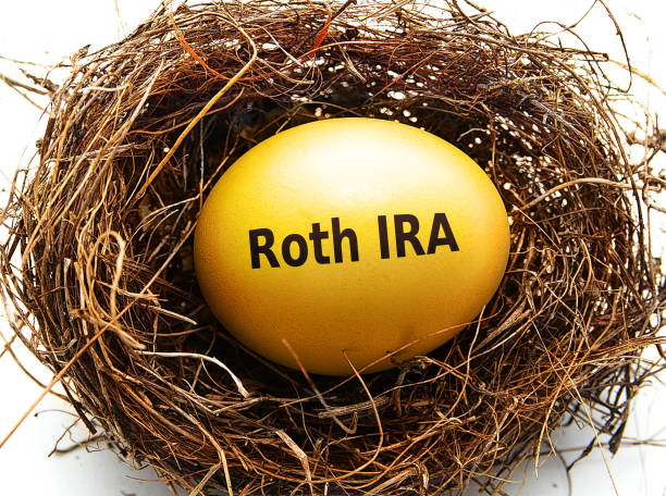 Gold Roth IRA egg in a bird's nest, on white Gold Roth IRA egg in a bird's nest, on white golden nest egg taxes stock pictures, royalty-free photos & images