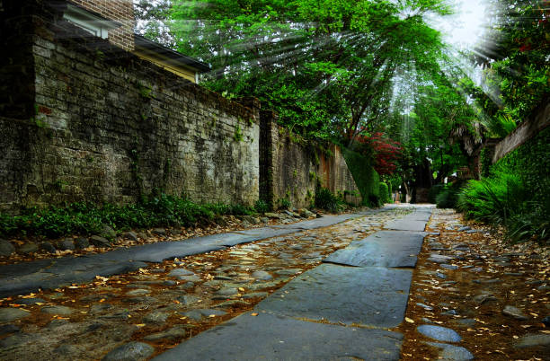 istock A quiet cobblestone side street in historic Charleston SC 1367176604