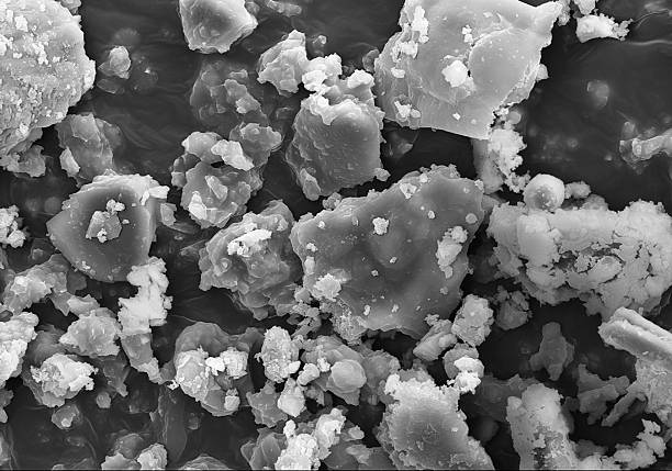 Common industrial dust Technically, this image is not a photograph, since it was not originated by light ("photo") but by an electron beam: the image was captured by an Hitachi ultra-high-resolution Analytical FE Scanning Electron Microscope SU-70. it is a huge magnification of the common dust of industrial outdoor environments. Badly for us, this dust is rich in polluting and corrosive elements, such as chlorine and sulphur. sem stock pictures, royalty-free photos & images