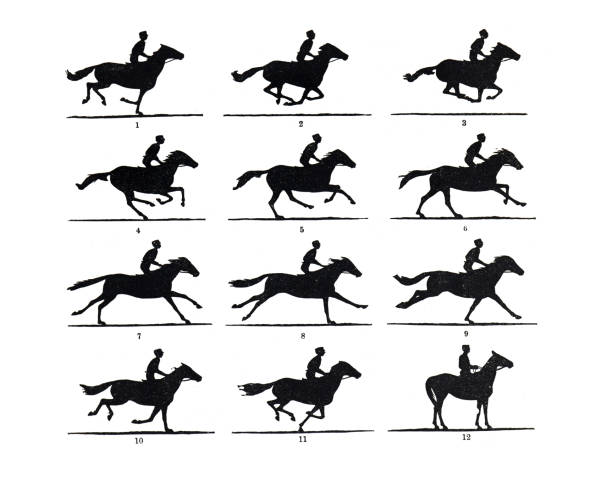 illustrations, cliparts, dessins animés et icônes de composition du cheval de saut à différents stades. illustration ancienne dessinée à la main. - running horses