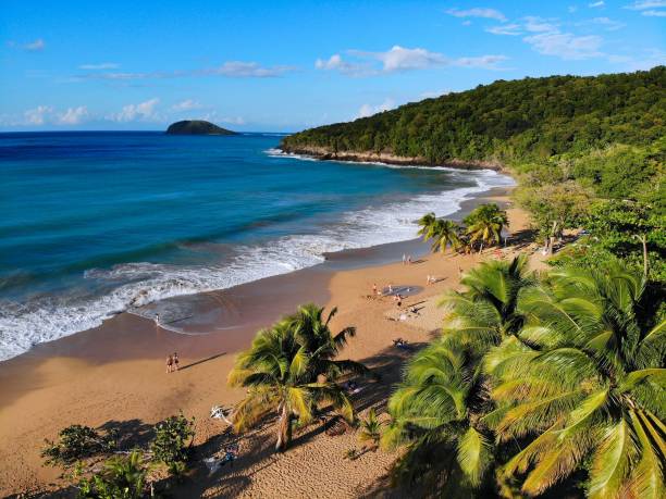 istock Guadeloupe sandy beach drone view 1367180107