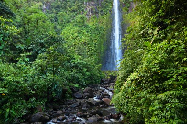 istock Waterfall in Guadeloupe - Carbet Falls 1367180996