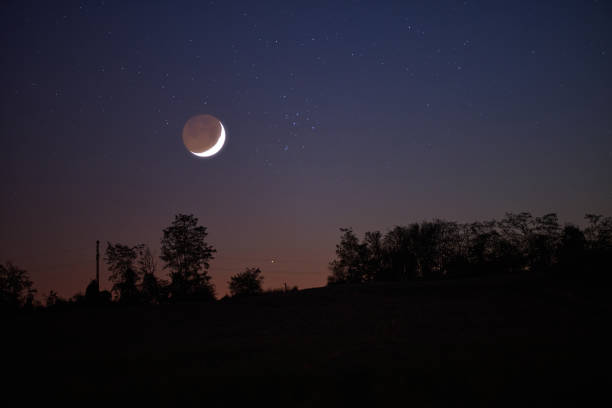 istock Tree silhouettes, stars, planets and Moon on evening sky. 1367183211