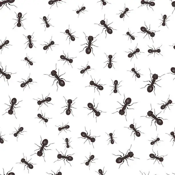 Vector illustration of Seamless Black Ant Patterns