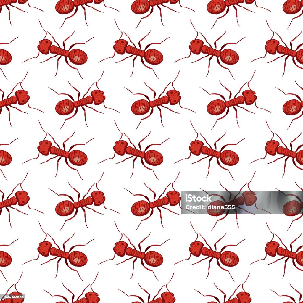 Ant Pattern Real Seamless Red Ant Patterns Stock Illustration - Download Image Now ...