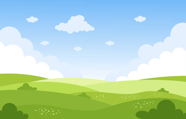 ilustraciones, imágenes clip art, dibujos animados e iconos de stock de paisaje veraniego campos verdes. - tree silhouette meadow horizon over land