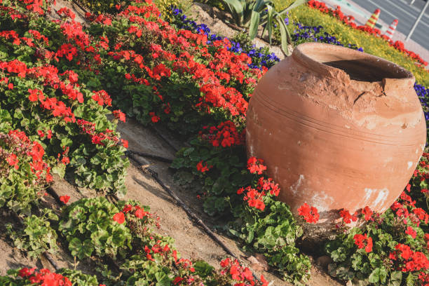 istock Clay pot and flowers 1367186920