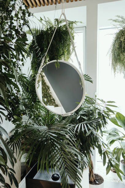istock Modern bathroom with mirror and tropical plants 1367187532