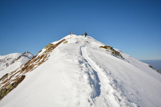 istock With skis on the Tatra trail 1367189804