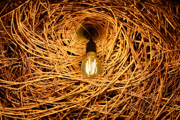 istock Luminous light bulb on the background of hay 1367190291