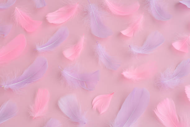 istock pink purple feather and fluff on pink background, abstract festive, love, romantic, easter background 1367192134