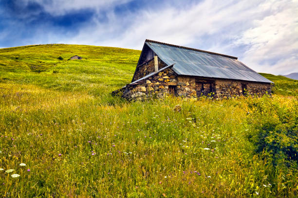 Casas de campo en las laderas herbosas de la montaña del Valle de Chistau. Pirineos. Huesca. Aragón. España