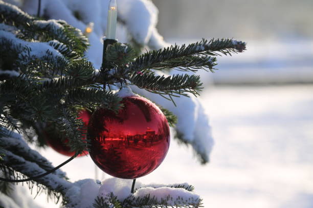istock Christmas decoration on snow covered tree 1367195677
