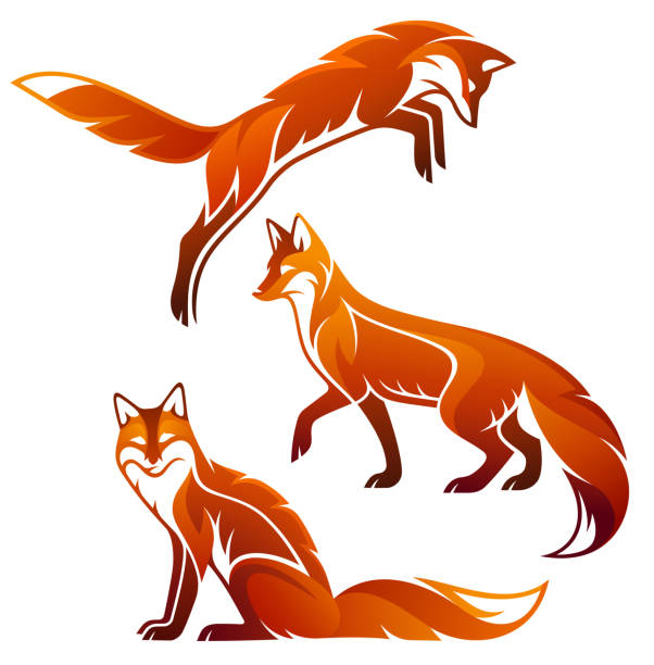 illustrations, cliparts, dessins animés et icônes de stylisé fox - renard roux