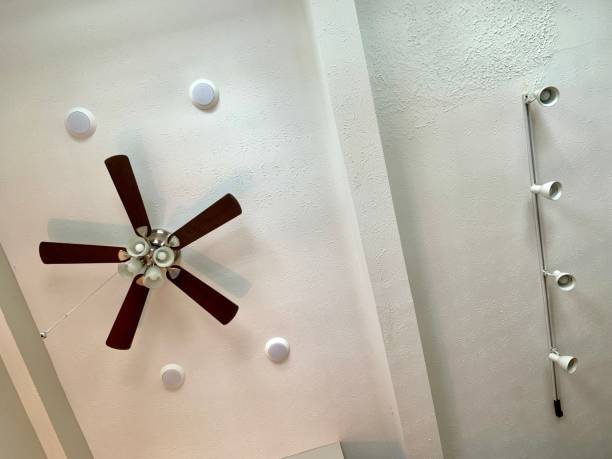 Free Stock Photo of Geometric ceiling with a star pattern | Download ...